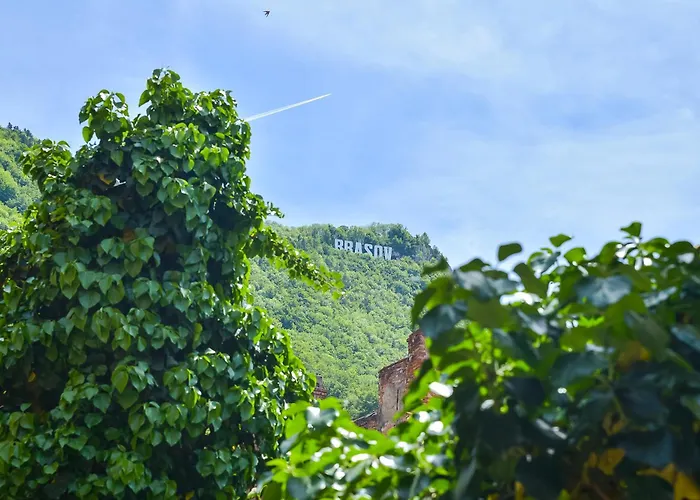 Apartment Sboldtown By Holztreppe